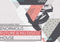 BS036 Enormous Future & Nu Disco House WAV